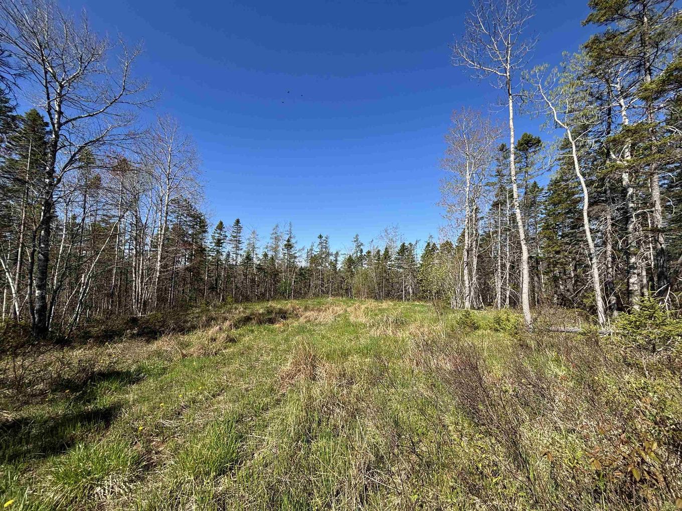 91 Timber Drive, Enfield, NS