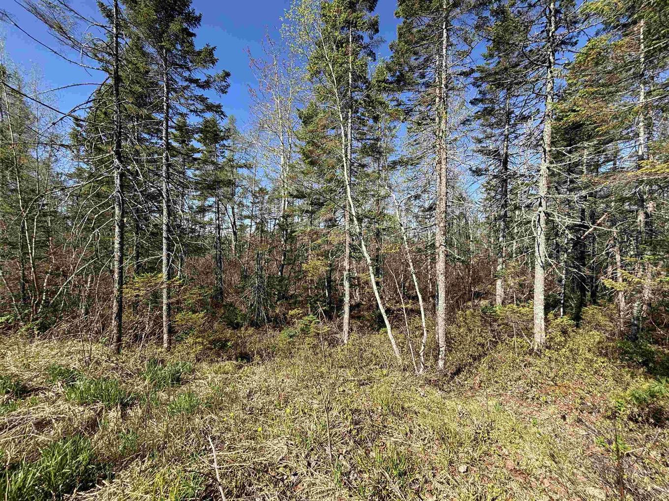 91 Timber Drive, Enfield, NS