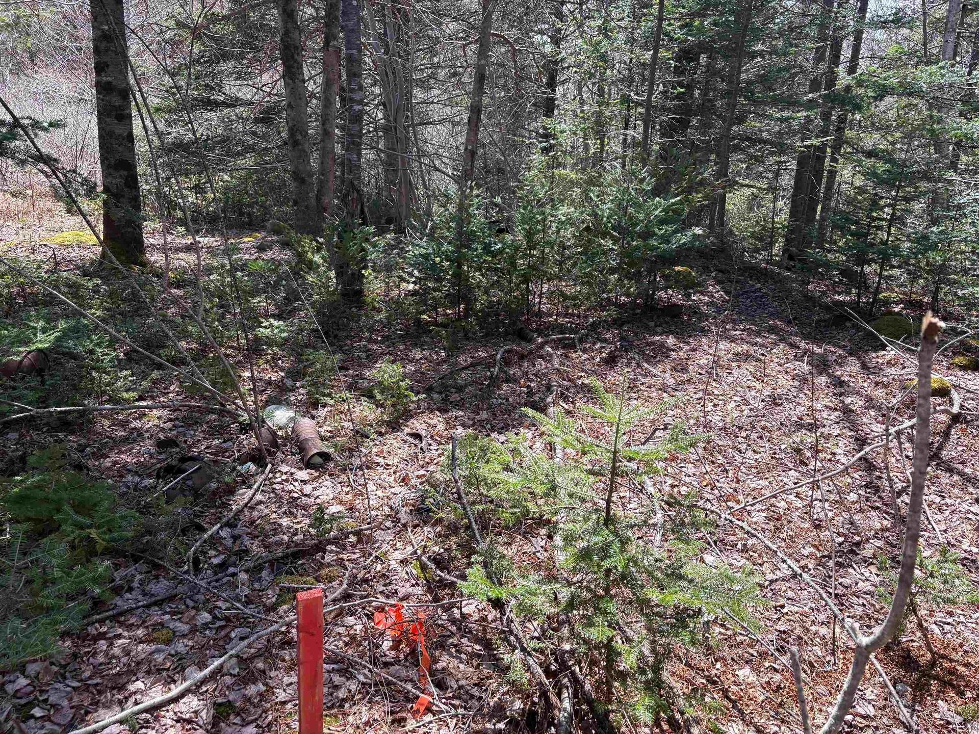 Lot 2 Beech Hill Road, Hunts Point, NS