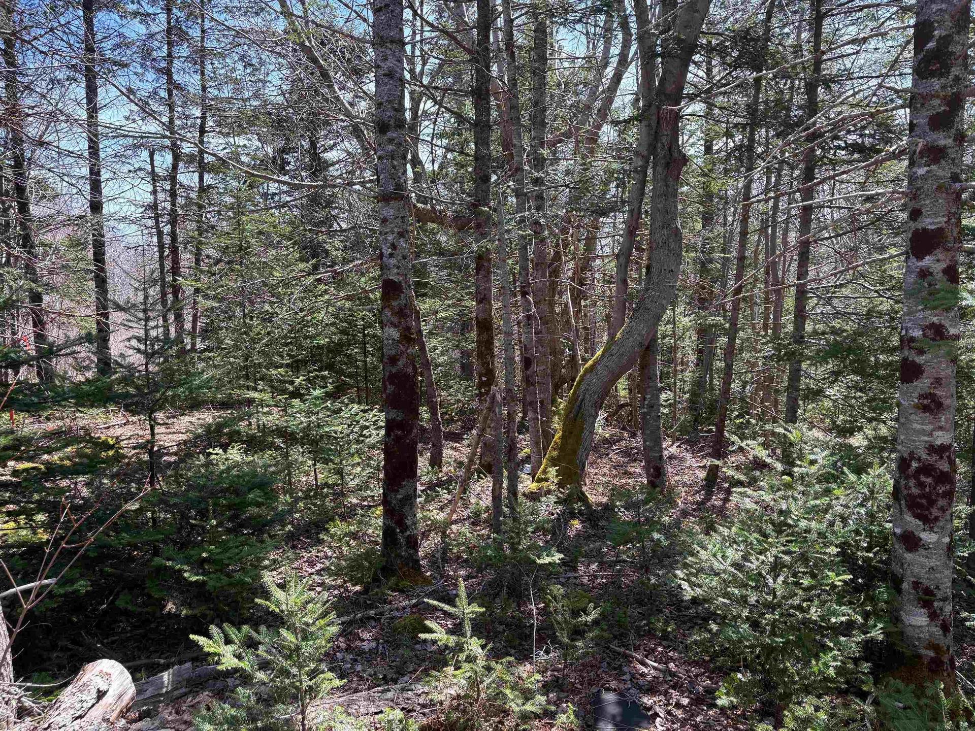 Lot 2 Beech Hill Road, Hunts Point, NS