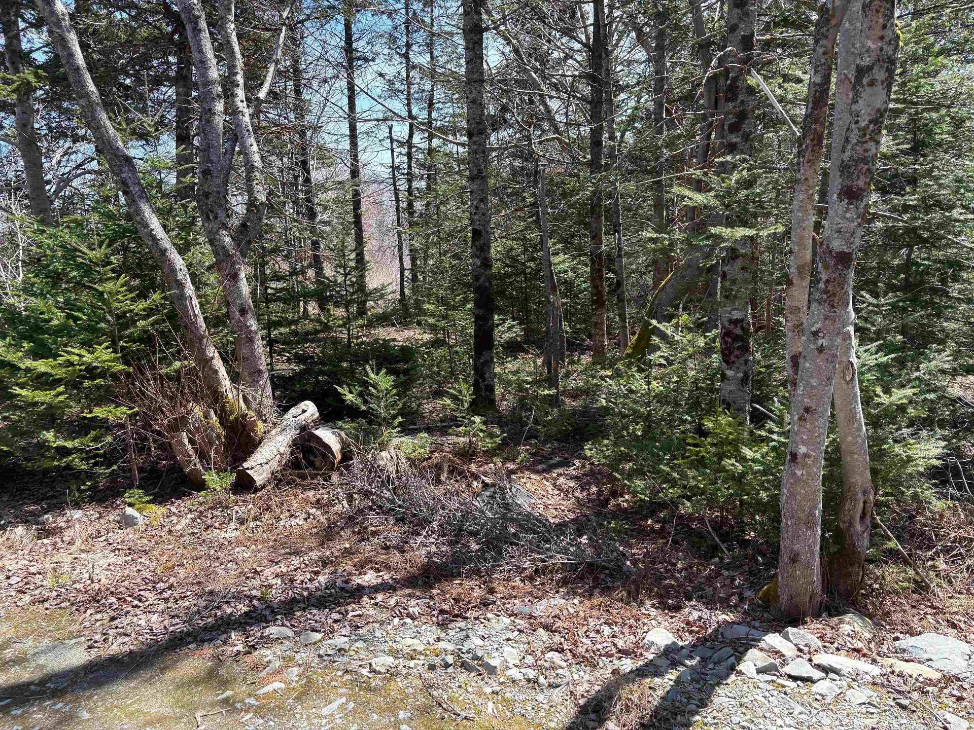 Lot 2 Beech Hill Road, Hunts Point, NS
