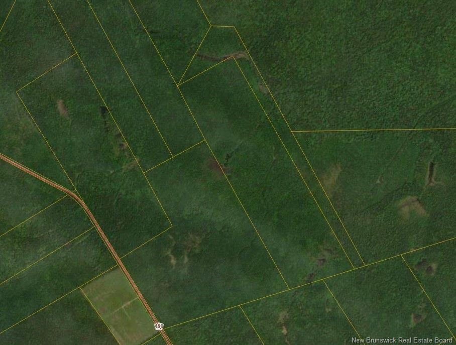 Lots Mclaughlin Road, Pine Ridge, NB