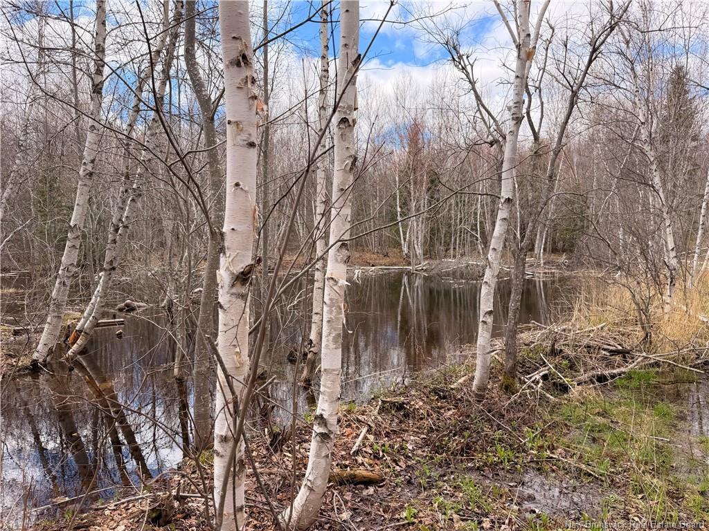 Lots Mclaughlin Road, Pine Ridge, NB