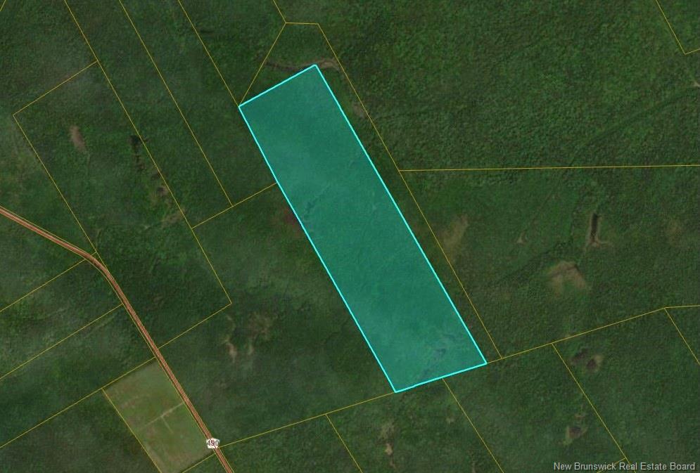 Lots Mclaughlin Road, Pine Ridge, NB