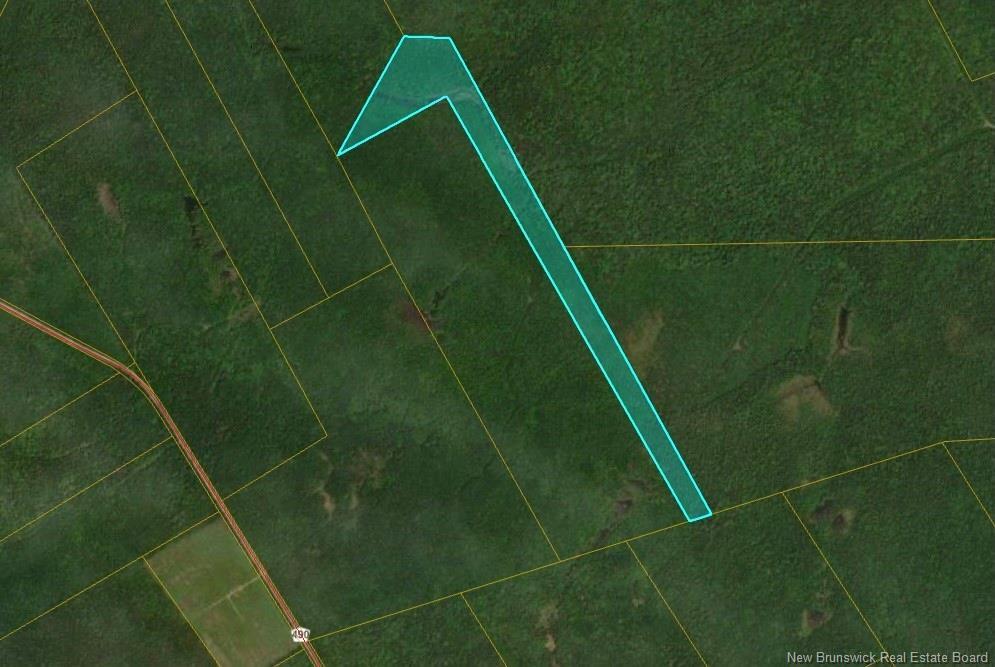Lots Mclaughlin Road, Pine Ridge, NB