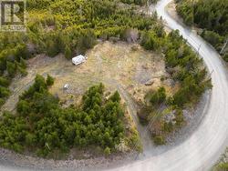 16 Deer Park Road Salmonier Line, NL A1Y 1C6