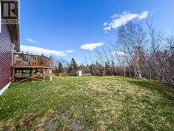 Backyard -