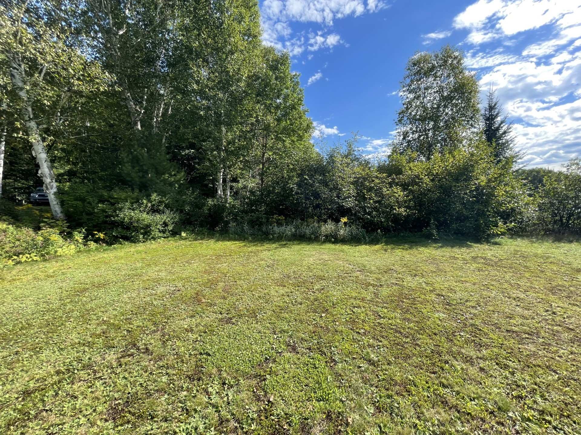 Extérieur - 699 Ch. Du Lac-Des-Cornes, Chute-Saint-Philippe, QC
