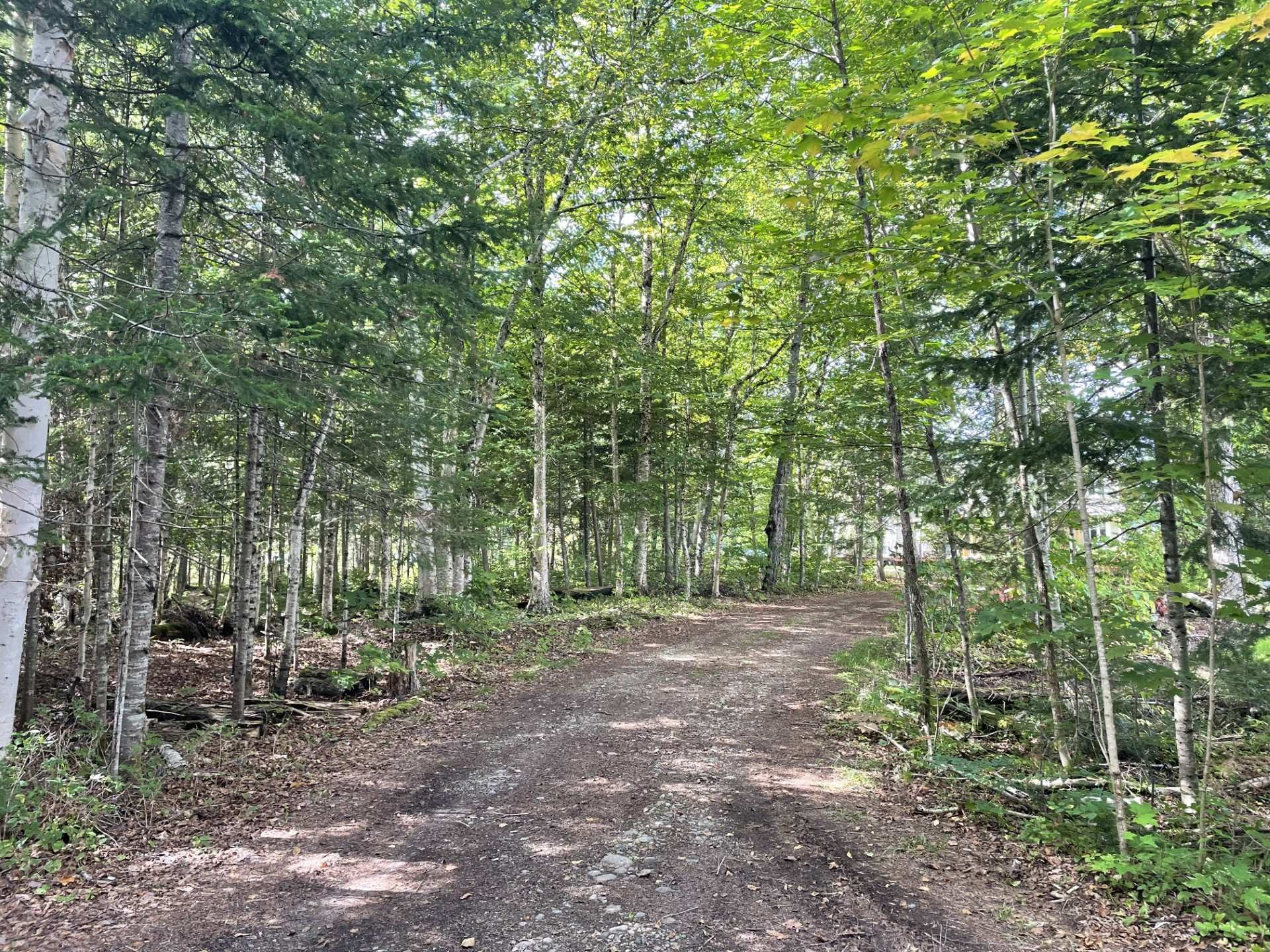 Autre - 699 Ch. Du Lac-Des-Cornes, Chute-Saint-Philippe, QC