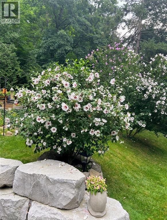 Flowering shrubs and trees adorn a landscaped garden area - 1333 Hidden Valley Road, Burlington, ON - Outdoor