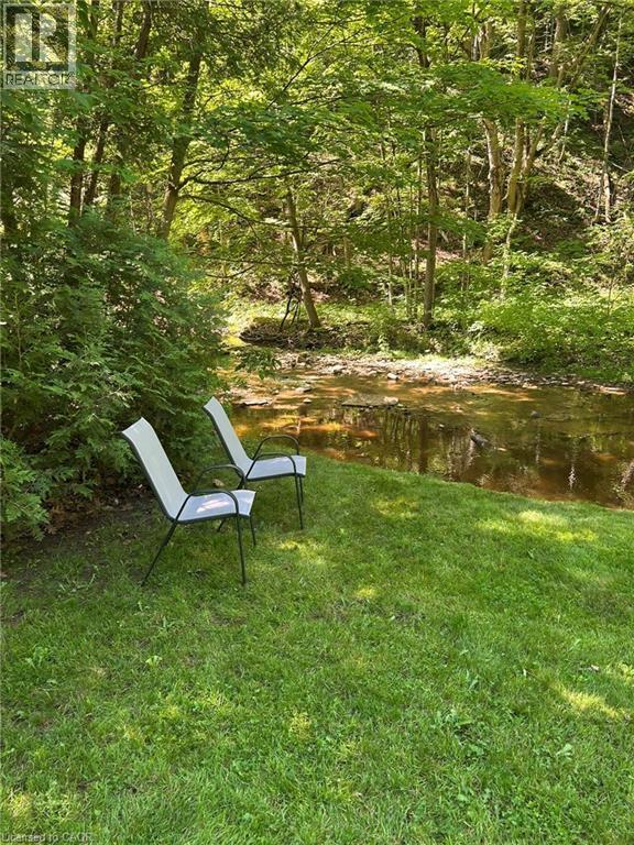 Grassy area backing onto a natural waterway, bordered by mature trees and lush vegetation - 1333 Hidden Valley Road, Burlington, ON - Outdoor