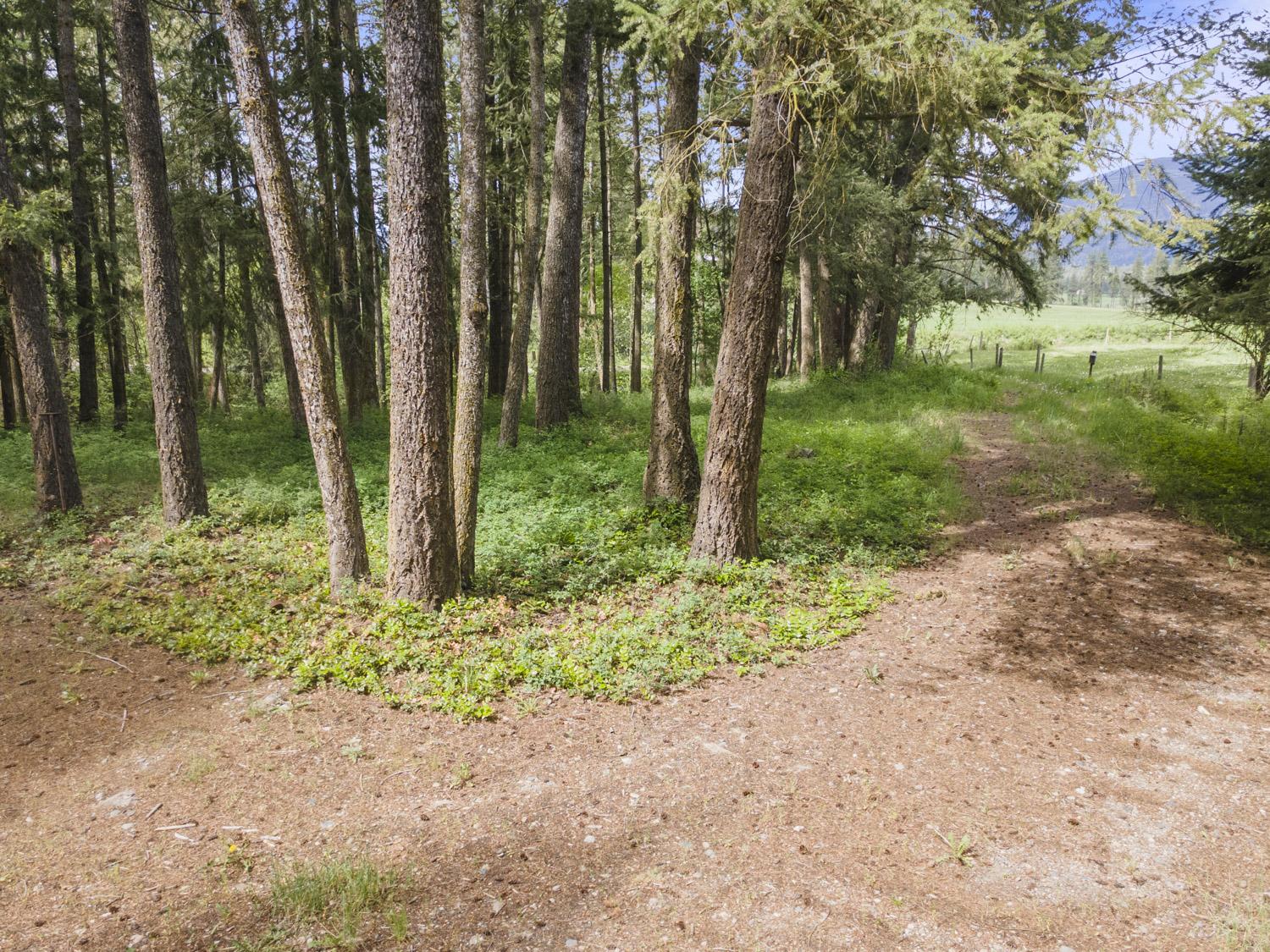 1027 Huscroft Road, Lister, BC - Outdoor With View