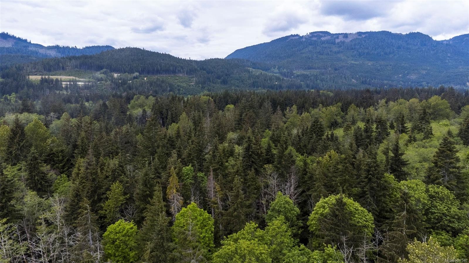 400 Dyer Rd, Sayward, BC
