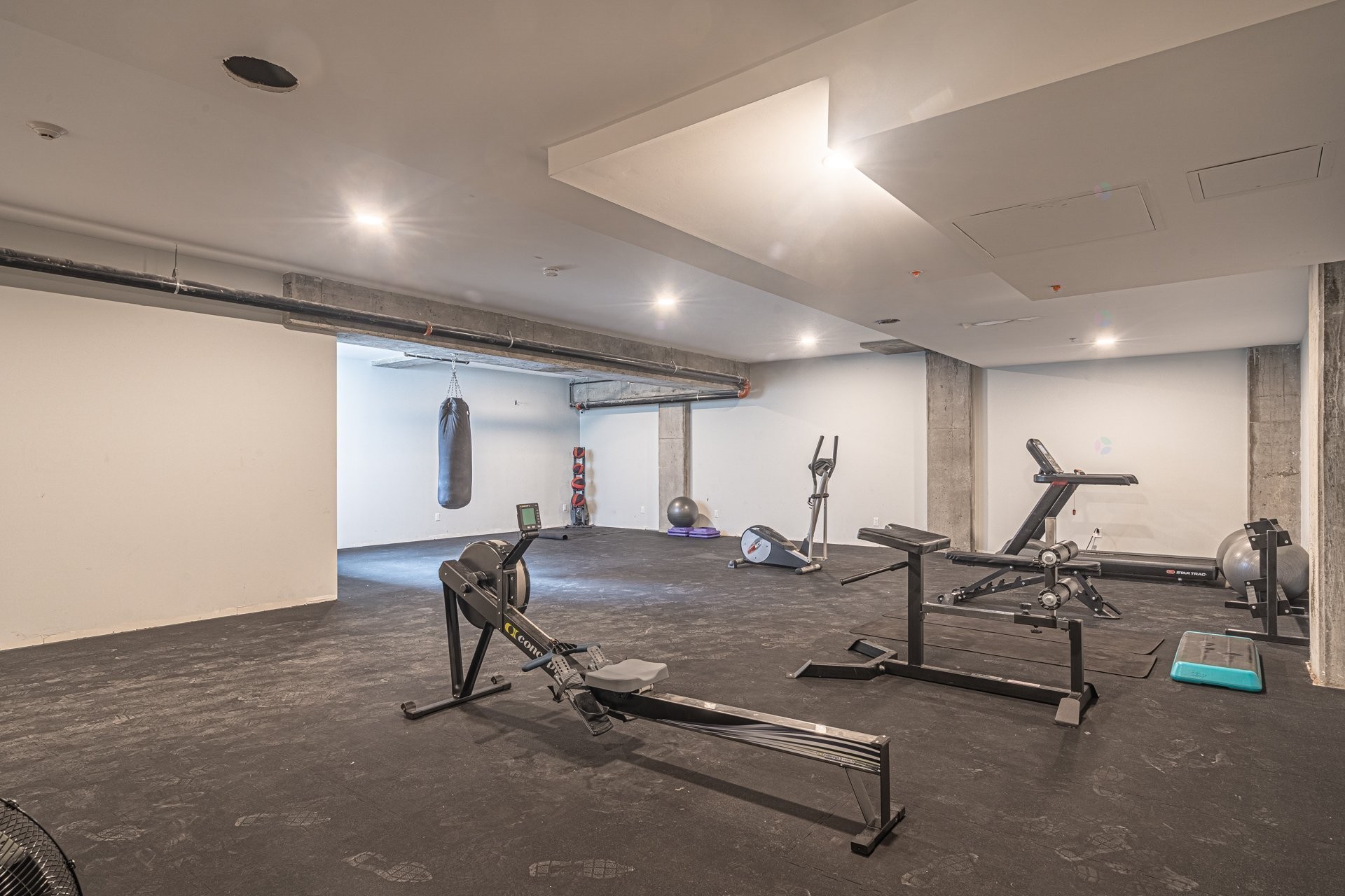 Exercise Room - 001-10150 Boul. St-Laurent, Montréal (Ahuntsic-Cartierville), QC - Indoor Photo Showing Gym Room