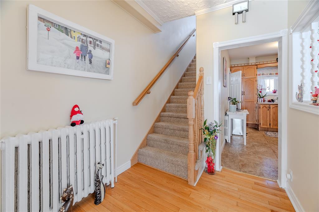 54 Belvedere Street, St. John'S, NL