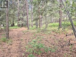 10742 Pinecrest Road Lot# 85 Vernon, BC V1T 7Z3