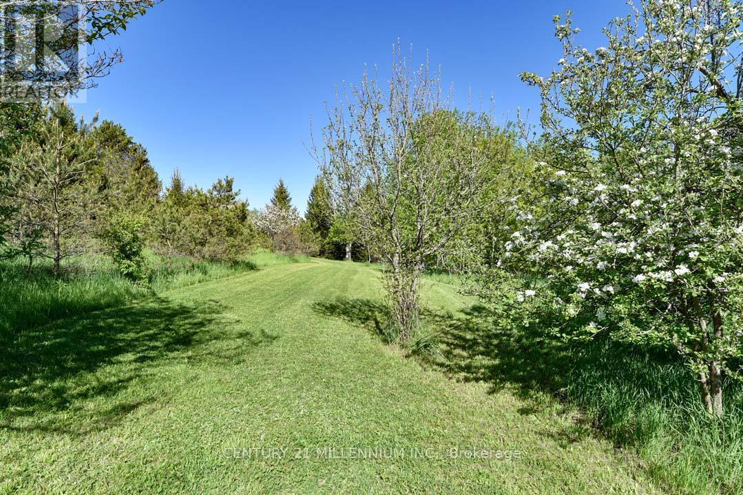 753333 2Nd Line Ehs, Mono, ON - Outdoor