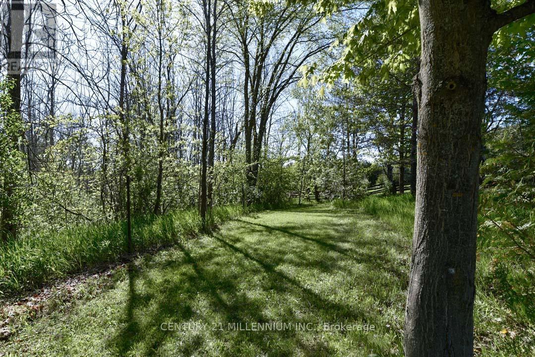 753333 2Nd Line Ehs, Mono, ON - Outdoor