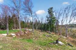 Lot - 