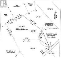 Lot 11 -