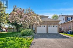6 MCAULIFFE STREET Clarington (Newcastle), ON L1B 1K4
