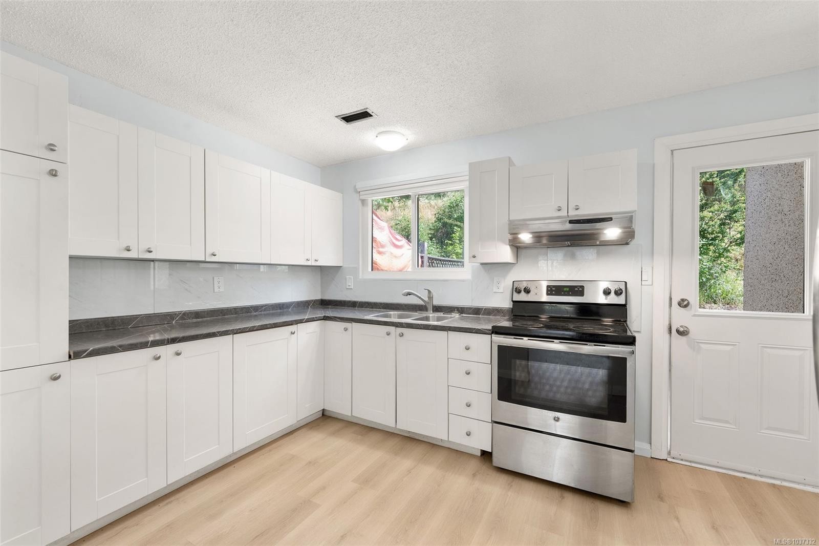 388 Pine St, Nanaimo, BC - Indoor Photo Showing Kitchen With Double Sink