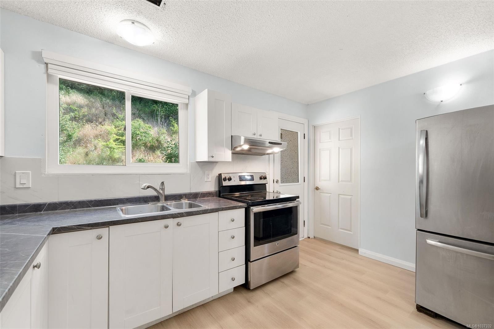 388 Pine St, Nanaimo, BC - Indoor Photo Showing Kitchen With Double Sink