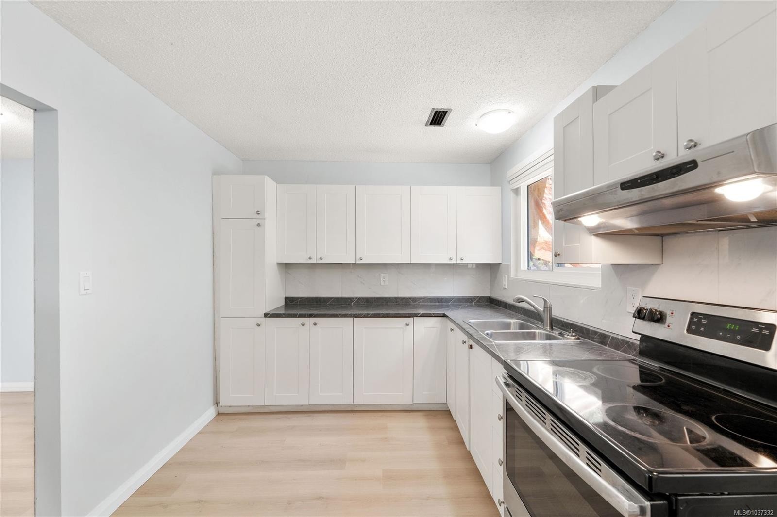 388 Pine St, Nanaimo, BC - Indoor Photo Showing Kitchen With Double Sink