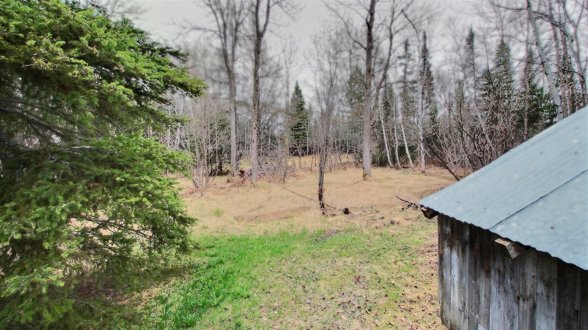 Autre - 1151 Ch. De La Croix, Rouyn-Noranda, QC - Outdoor With View