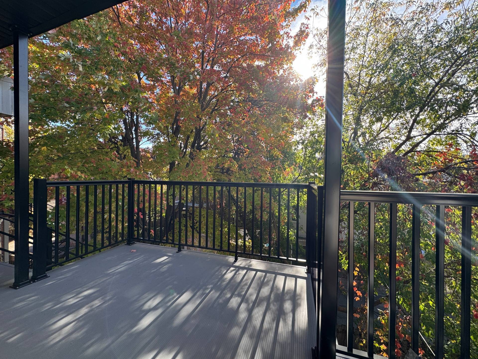 Balcony - 4528 Rue Chambord, Montréal (Le Plateau-Mont-Royal), QC - Outdoor