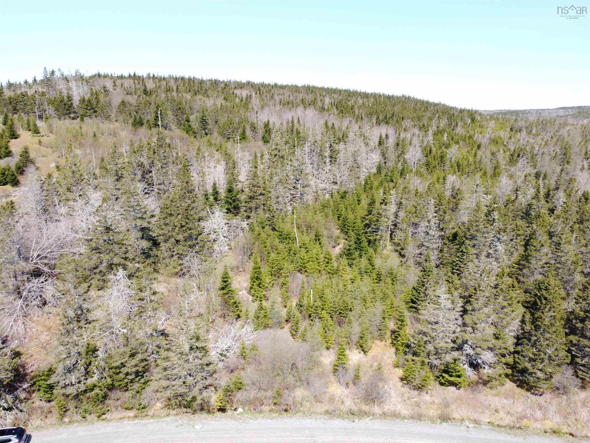 Cemetery Road, Spry Harbour, NS