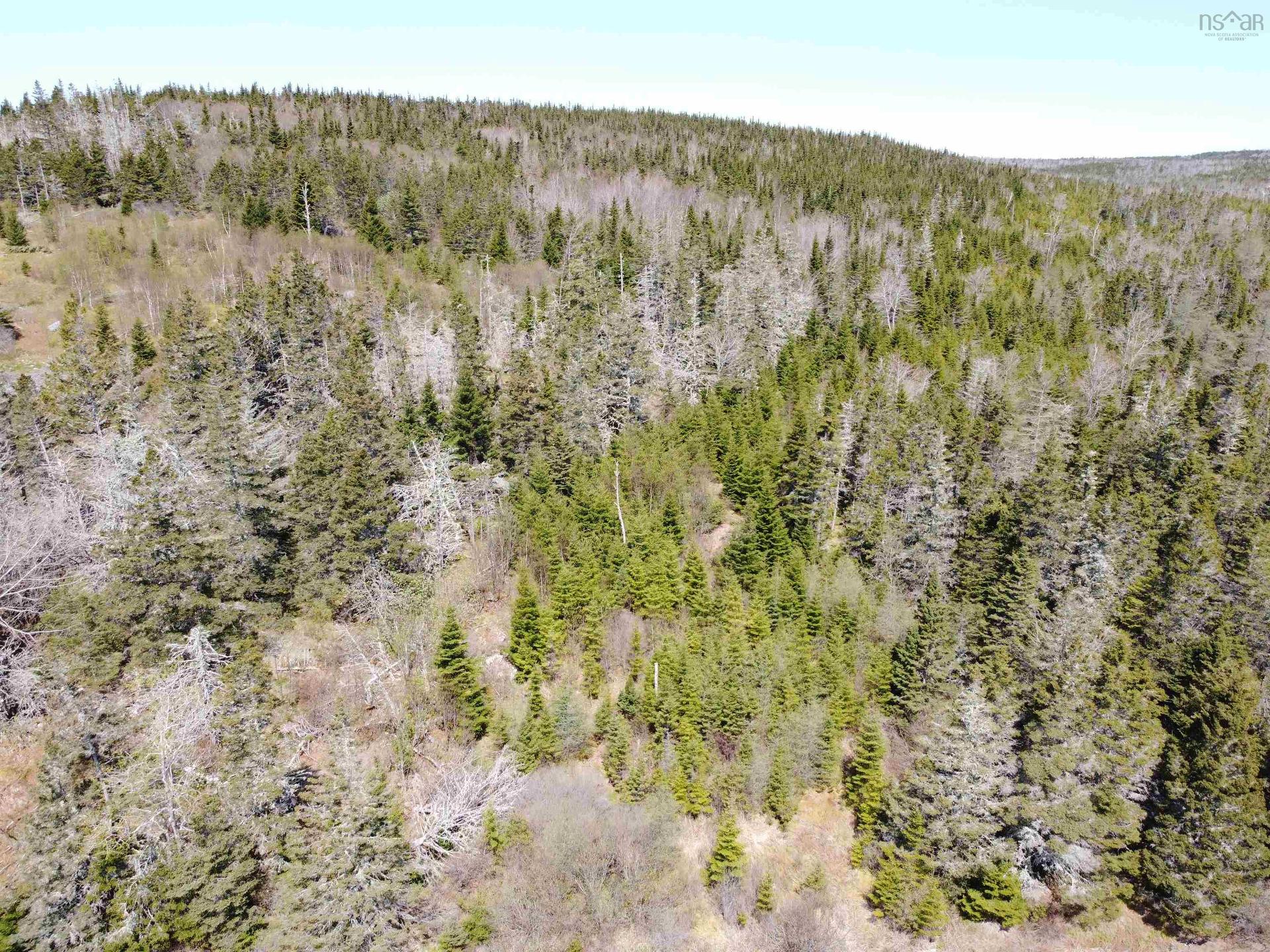 Cemetery Road, Spry Harbour, NS