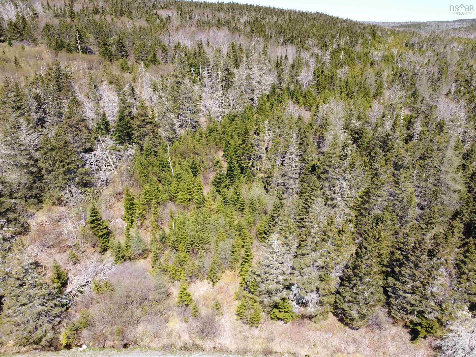 Cemetery Road, Spry Harbour, NS