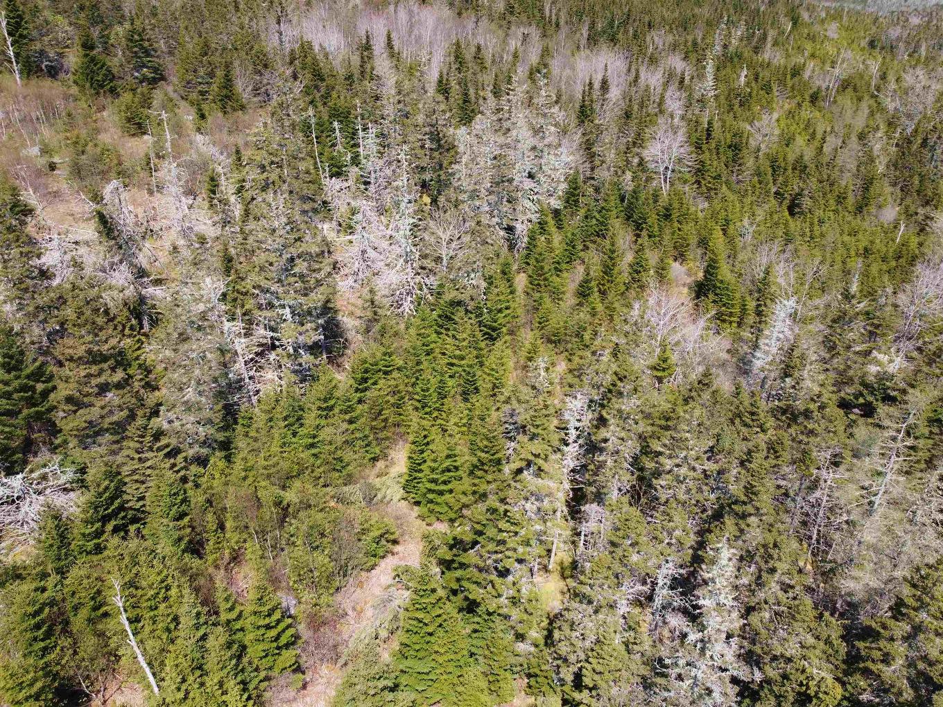 Cemetery Road, Spry Harbour, NS
