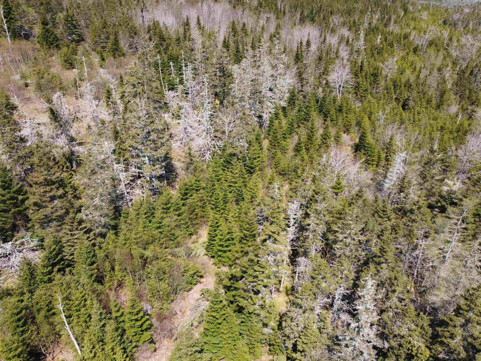 Cemetery Road, Spry Harbour, NS