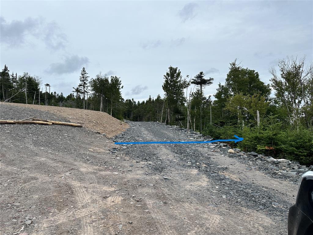 9-10 Pikes Road, Spread Eagle, NL