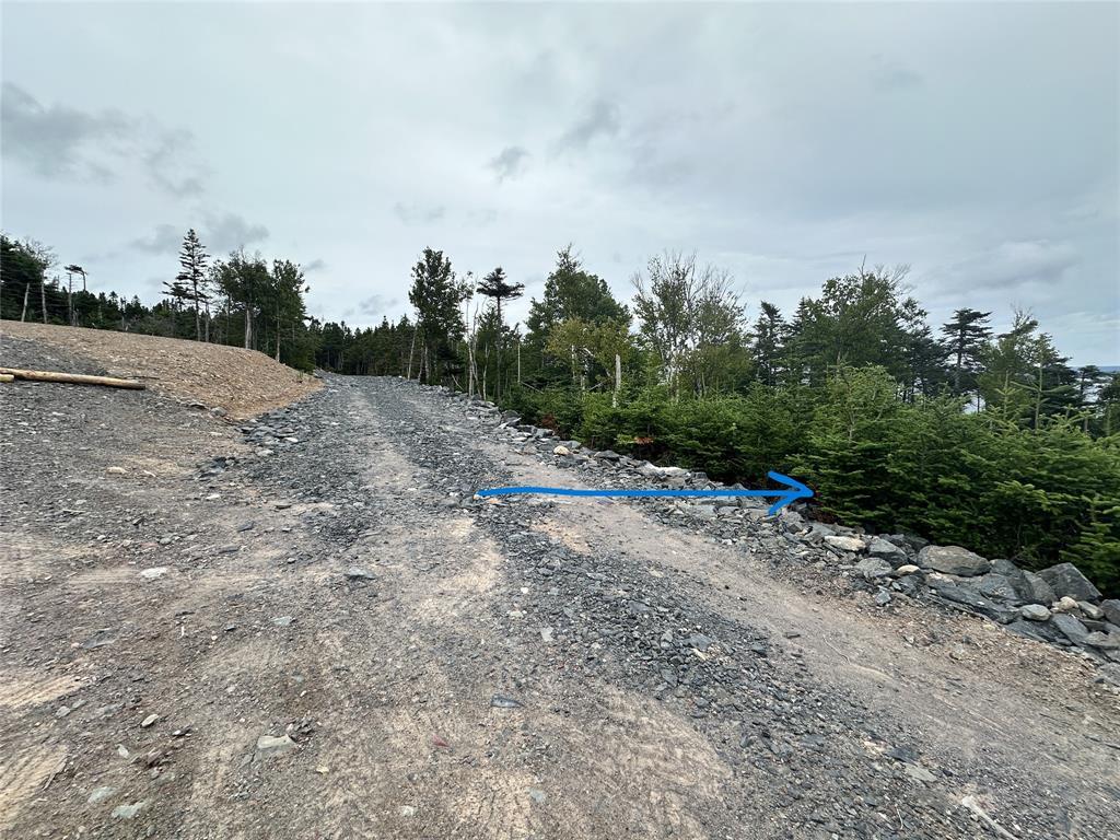 9-10 Pikes Road, Spread Eagle, NL