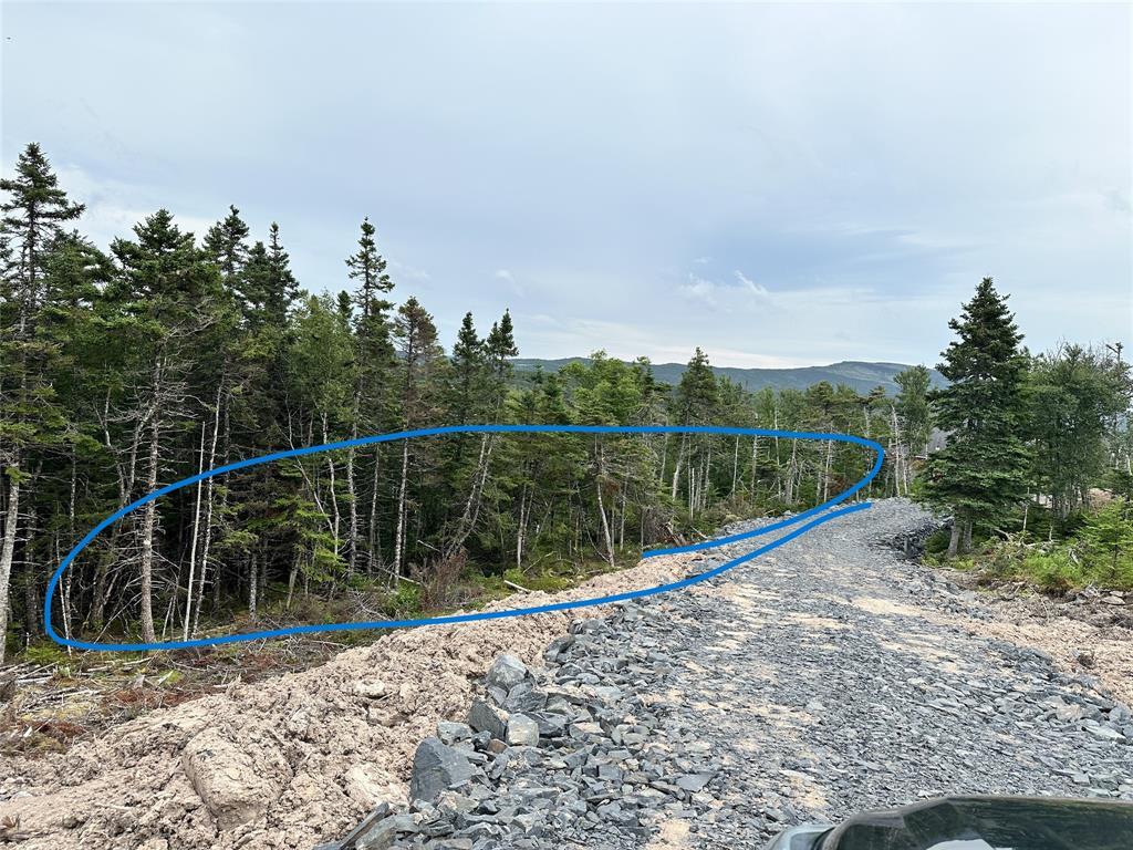 9-10 Pikes Road, Spread Eagle, NL