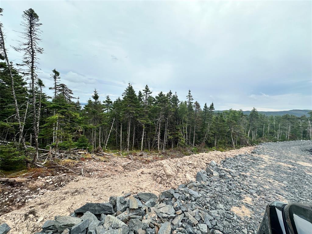 9-10 Pikes Road, Spread Eagle, NL