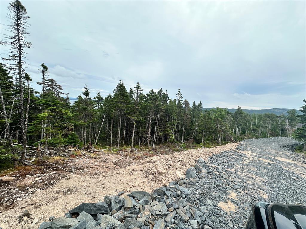 9-10 Pikes Road, Spread Eagle, NL