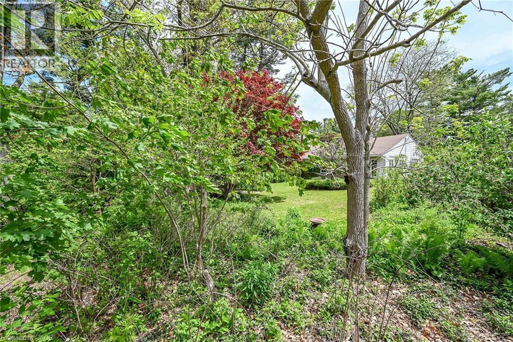 Expansive green lawn surrounded by mature trees and varied foliage - 2 Summit Circle, Simcoe, ON - Outdoor