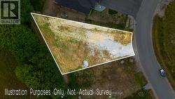 Aerial Lot Outline -