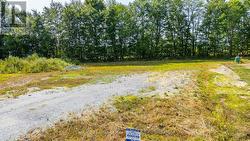 Level Ground from Driveway view- Large Lot -