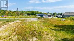 Level Ground View- Large Lot -