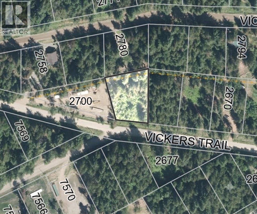107 Vickers Trail, Anglemont, BC