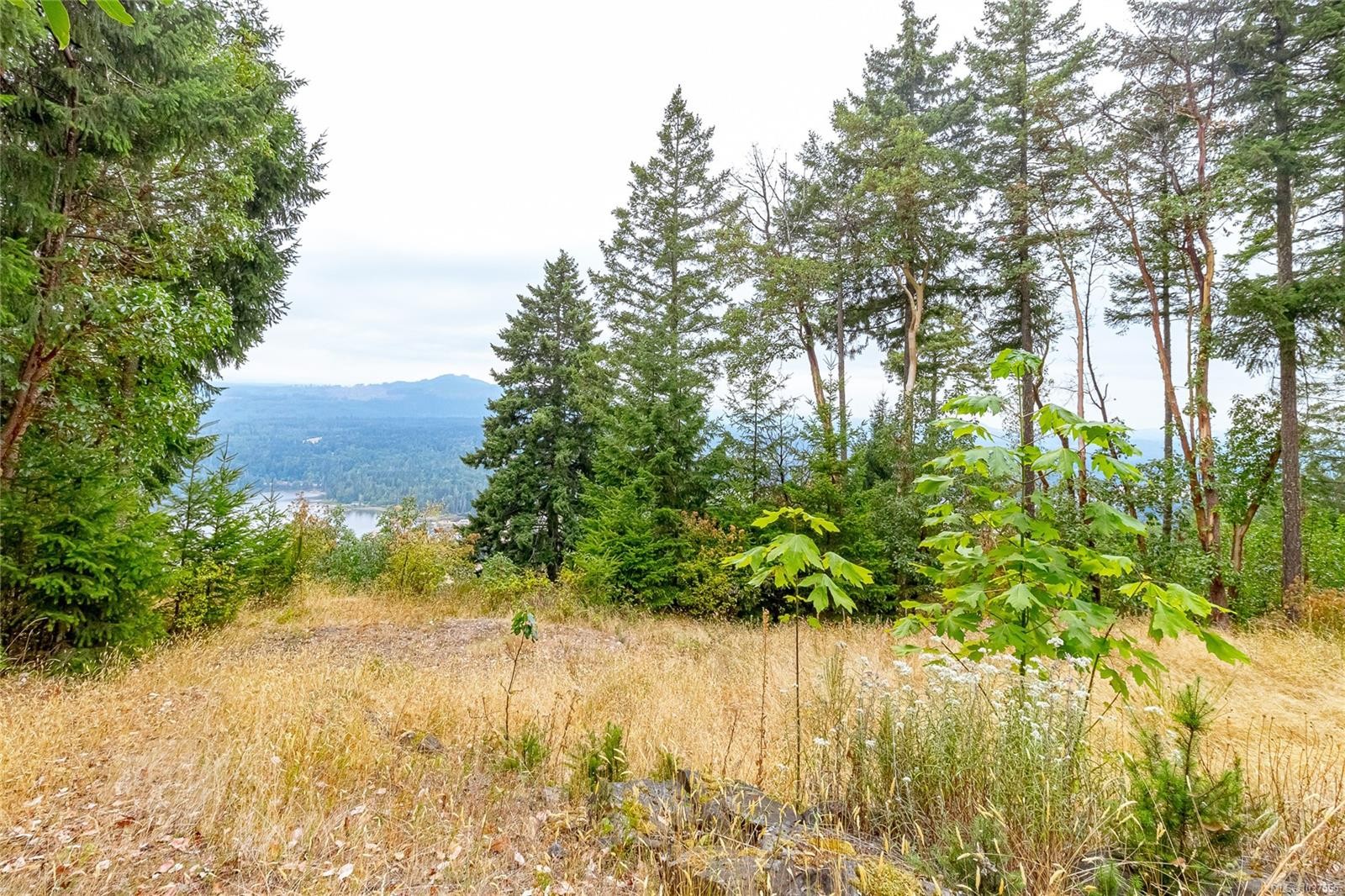 5115 Aho Rd, Ladysmith, BC