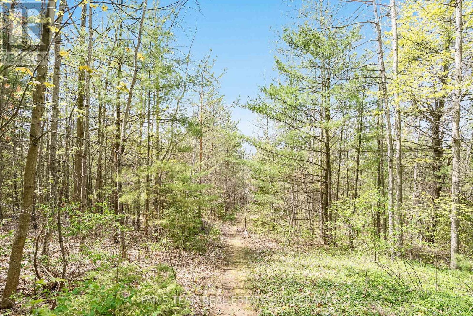 4 Mills Circle, Springwater, ON - Outdoor With View