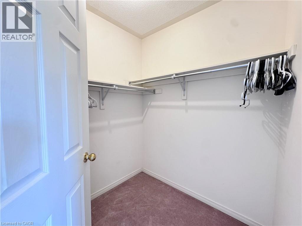 Walk-in closet with carpet flooring, white painted walls, and built-in closet organization system - 110 Highland Road E Unit# 53, Kitchener, ON - Indoor With Storage