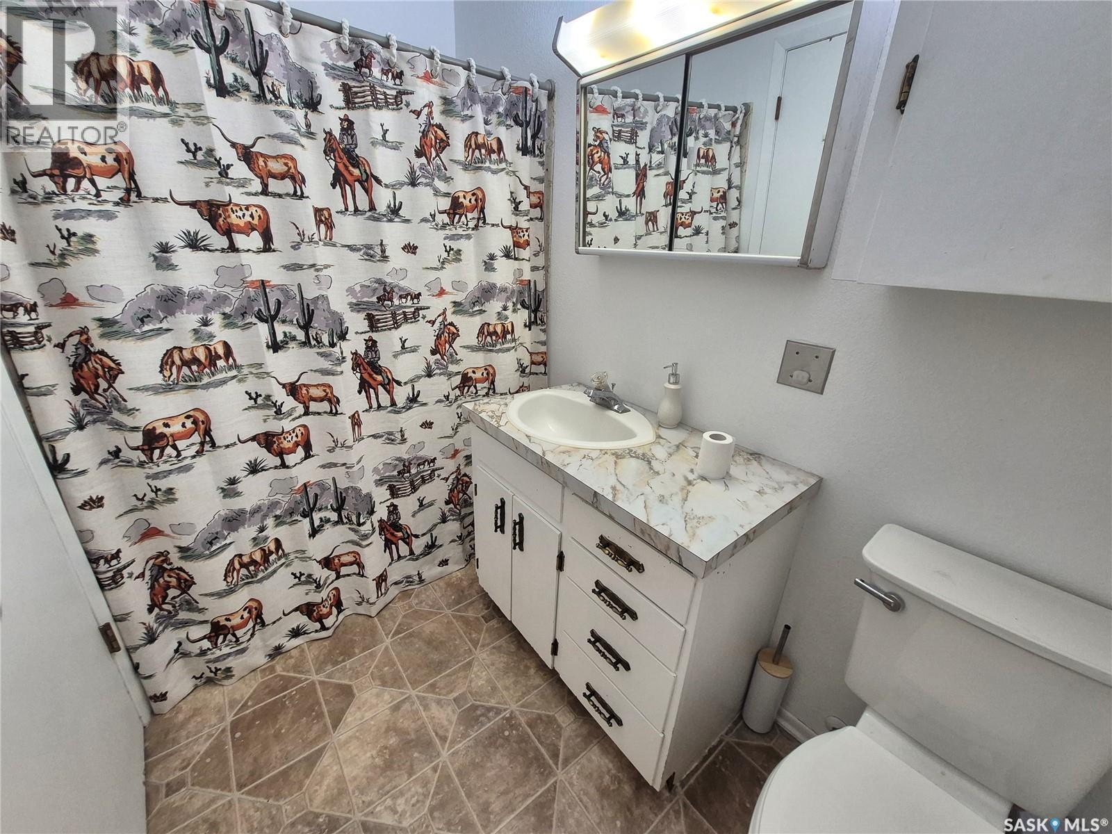 10 Yandeau Crescent, Radville, SK - Indoor Photo Showing Bathroom