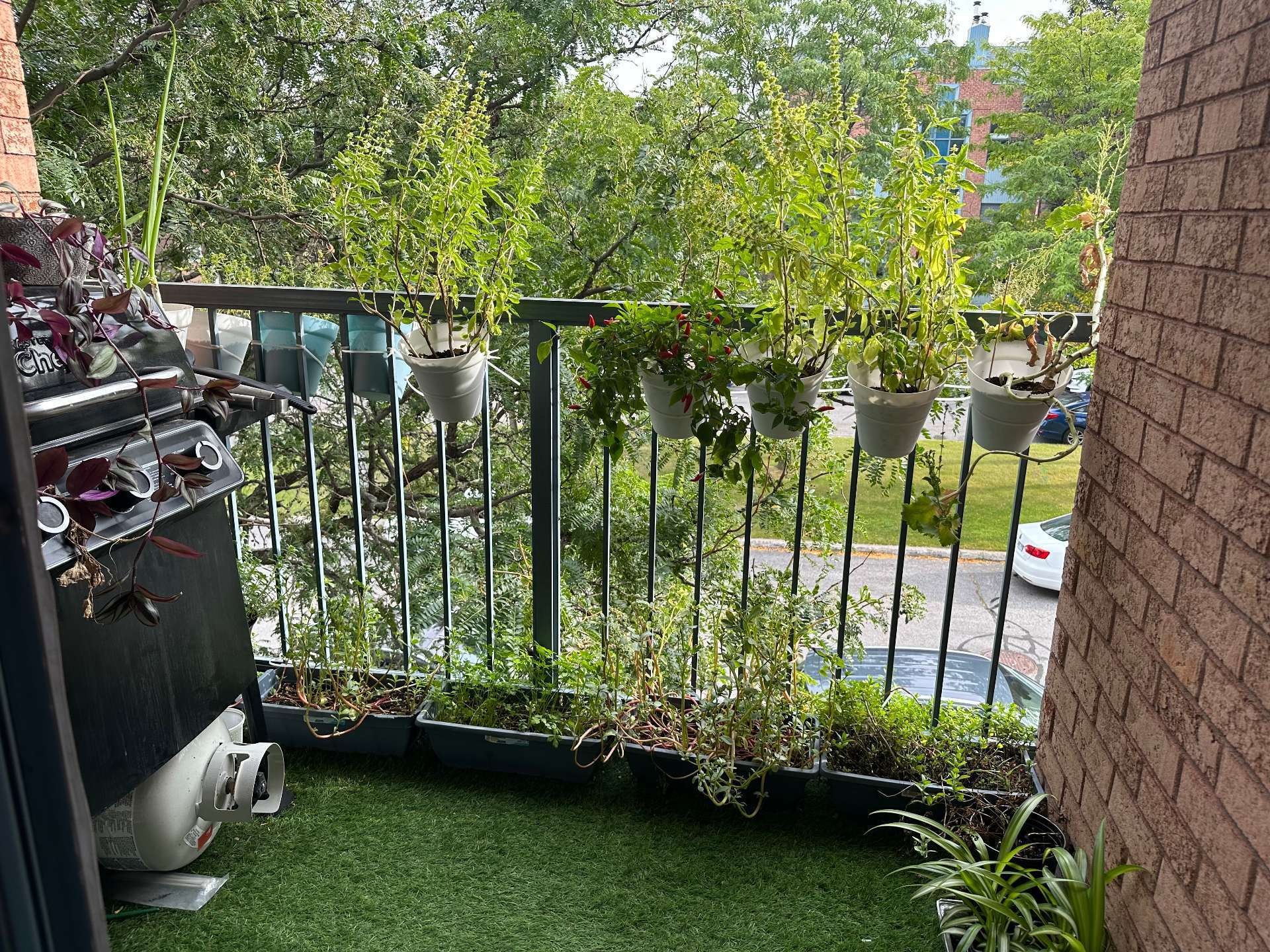 Balcony - 6-636 Av. Ampère, Laval (Laval-Des-Rapides), QC - Outdoor